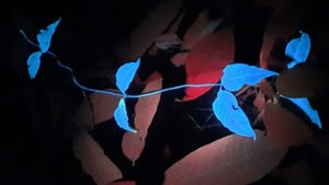 Plante luminescente. Illustration de la visite "LumineScience en forêt" par le CNRS.
